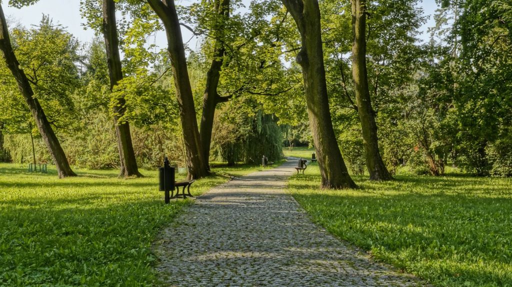 park w Łodzi
