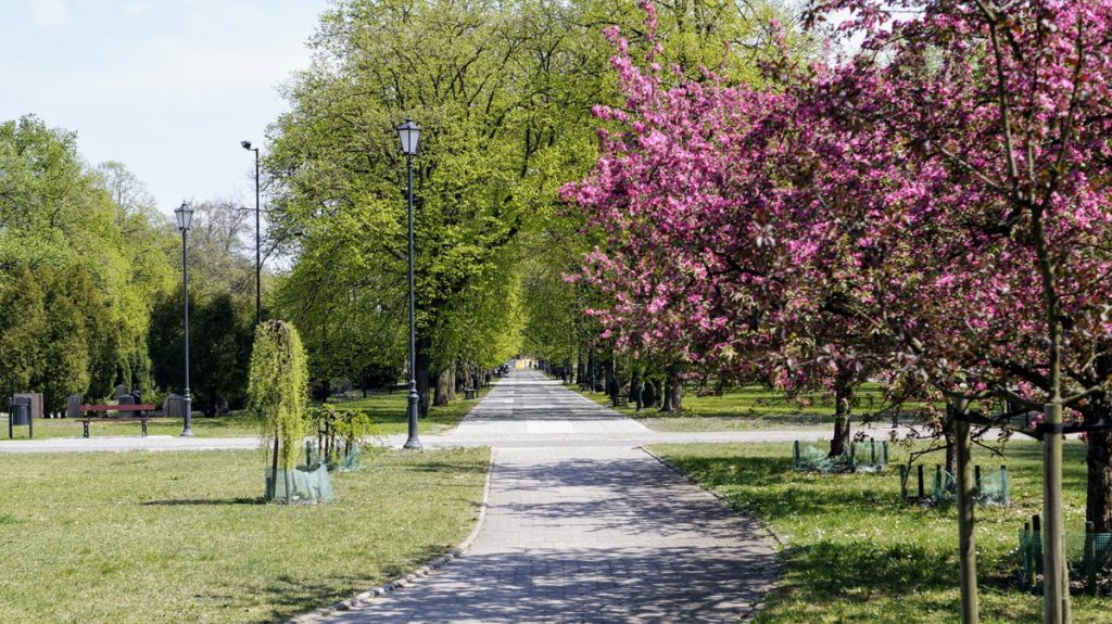 Park Księcia Poniatowskiego Łódź