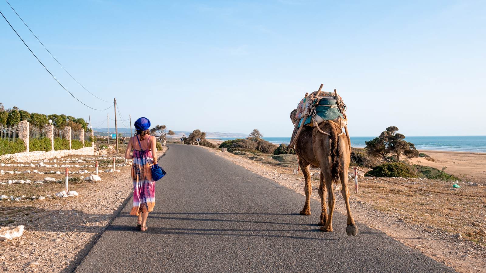 maroko wielbłądy