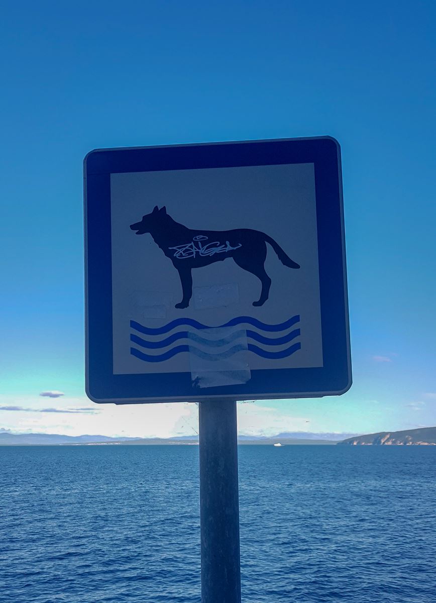 Plaże dla psów- Chorwacja
