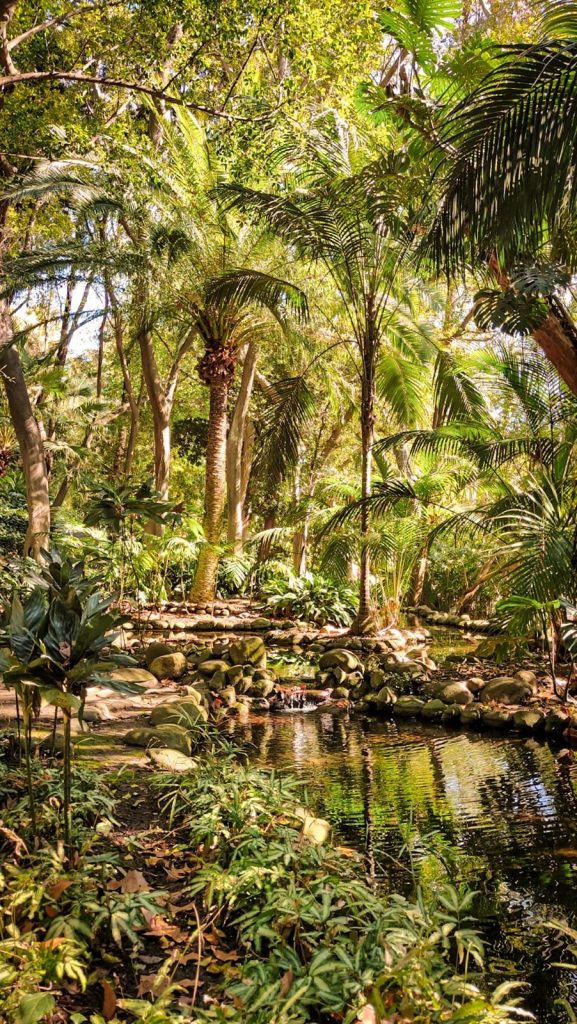 Ogród Botaniczny w Maladze
