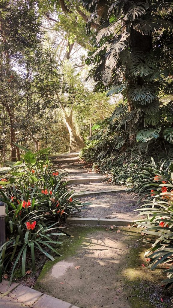 Ogród Botaniczny w Maladze