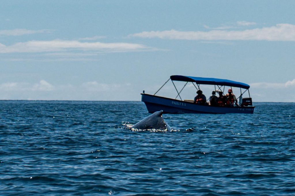 panama